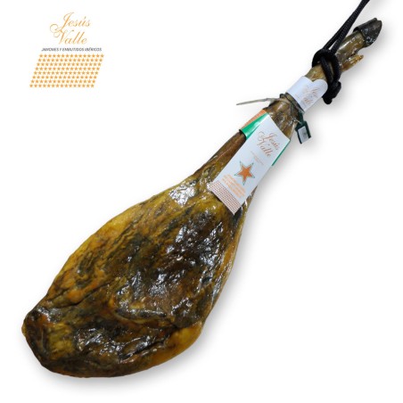 JAMON DE CEBO DE CAMPO IBERICO 50% RAZA IBERICA GUIJUELO