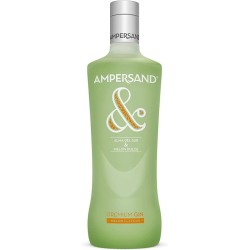 AMPERSAND GIN MELON 6X70CL.