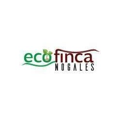 CAFE TUESTE NATURAL ECO FINCA NOGALES