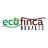 CAFE TUESTE NATURAL ECO FINCA NOGALES