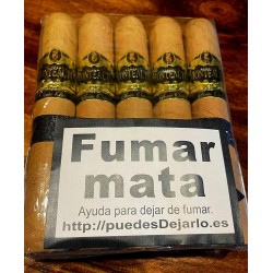 PUROS ROBUSTO 5UD.